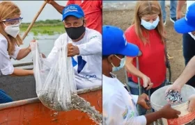 El proyecto beneficiará a tres mil pescadores de los municipios de Repelón, Sabanalarga, Manatí, Ponedera, Malambo y Luruaco.  