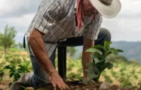 Son 200 vacantes en el sector agrícola.