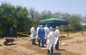 Identificación de Carmen Alicia Varón Olarte