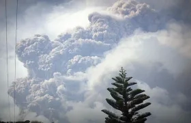 La impresionante columna de cenizas.