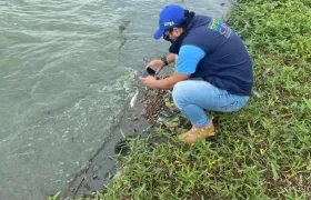 Visita técnica a la Ciénaga de Luruaco.