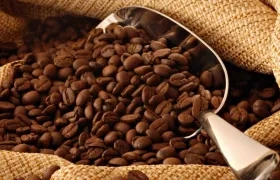 Los caficultores colombianos han perdido clientes en el exterior por los bloqueos.