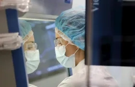 Estados Unidos alcanzó este miércoles 33.496.627 casos confirmados de covid-19 y 600.624 fallecimientos, de acuerdo con el recuento independiente de la Universidad Johns Hopkins.