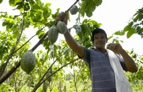Las comunidades que hagan aprovechamiento de estos productos para su subsistencia no necesitan permiso y tienen derecho de usarlos gratuitamente.