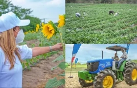 La gobernadora del Atlántico Elsa Noguera impulsa el agro con 'El campo a toda marcha'.