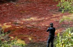 Turista visitando el río Caño Cristales, también llamado el "río de los siete colores", en zona rural de La Macarena, departamento del Meta (Colombia). 