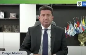 Diego Molano, ministro de Defensa.