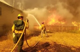 Las autoridades mostraron su preocupación por las altas temperaturas.