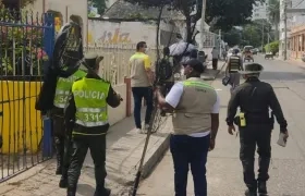 Autoridades ambientales y de Policía no habían podido atraparlo para devoverlo a su hábitat.