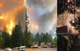 El crecimiento de Dixie en los últimos días ha sido muy rápido y alarmante.