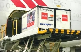 Lote de vacunas Coronavac desarrolladas por Sinovac.