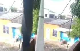 Imágenes de la riña en Nuevo Milenio.