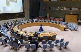 Consejo de Seguridad de la ONU.