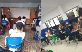 Taller de narrativa "Leer la naturaleza".