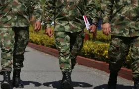 Imagen de referencia. 