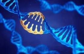 Imagen de referencia.