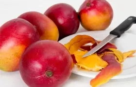 Imagen de referencia.