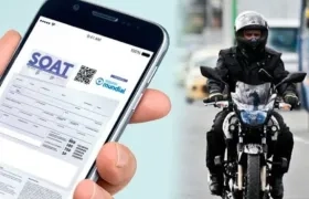 Imagen de referencia.