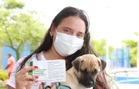 Imagen de referencia. 