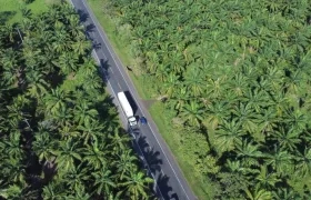Un tramo de la vía entre San Onofre y Cruz del Viso.