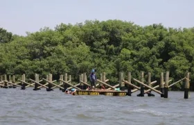 Trabajos en la Ciénaga de Mallorquín.