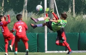 Acciones de un partido. 