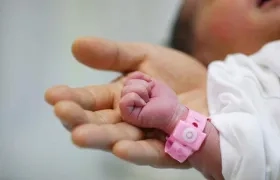 Imagen de referencia.