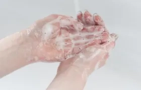 Imagen de referencia.