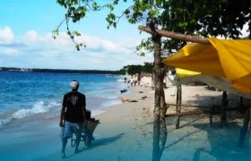 Imagen de referencia.