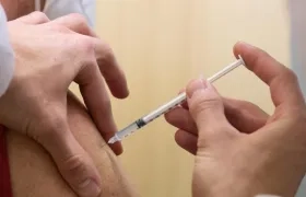 Imagen de referencia.