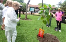 Vera de Tcherassi y el Director de Clena Juan José Jaramillo, sembrando el árbol de Macondo en Uninorte.