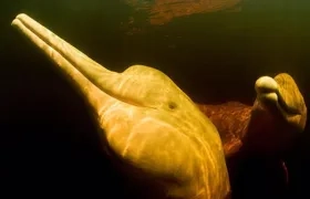 Imagen de referencia.