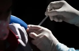 Imagen de referencia.