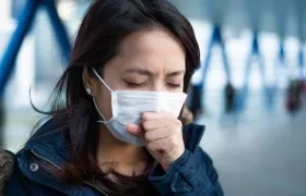 Imagen de referencia.