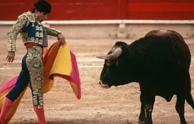 Imagen de referencia.