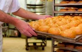 Imagen de referencia