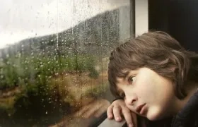 Imagen de referencia.