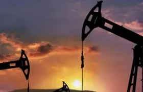 Imagen de referencia.