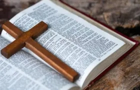 Imagen de referencia