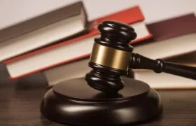 Imagen de referencia