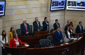 La plenaria de este miércoles en el Senado.