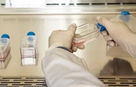 La OMS publicó una primera lista de "patógenos prioritarios" resistentes a los antibióticos.