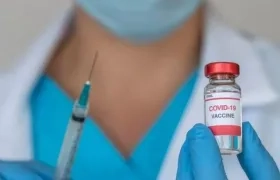 Imagen de referencia.