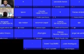 Aspecto de la audiencia virtual en la tarde de este martes. 