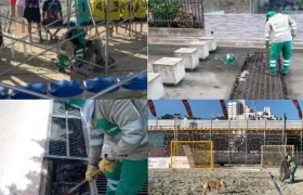 Operativos de limpieza.