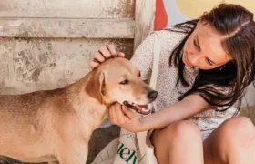 Imagen de referencia.