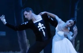 Imagen de referencia.