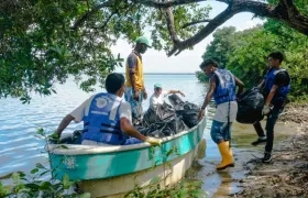 La jornada de extracción de residuos en la Ciénaga de la Virgen.