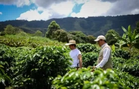 Imagen de referencia.