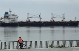 Imagen de referencia.